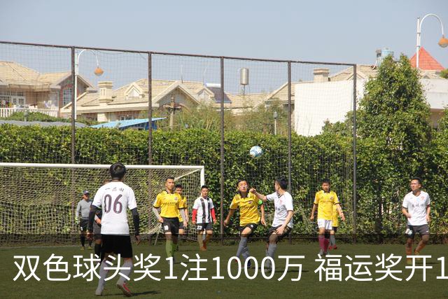 双色球头奖1注1000万 福运奖开1061万注
